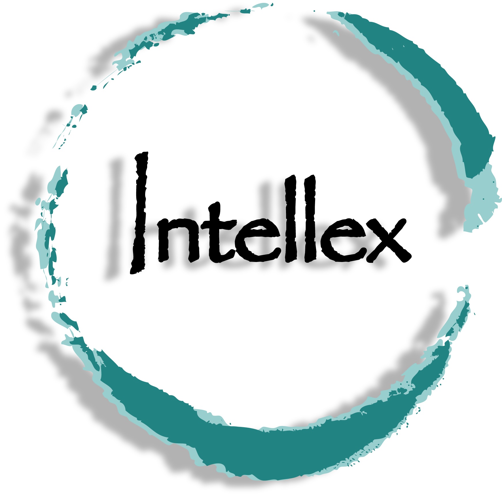 http://www.intellexbolivia.com